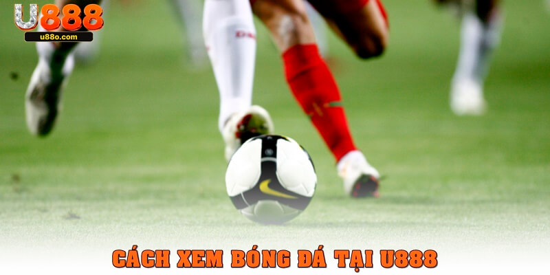 Cách xem bóng đá online chất lượng tại U888