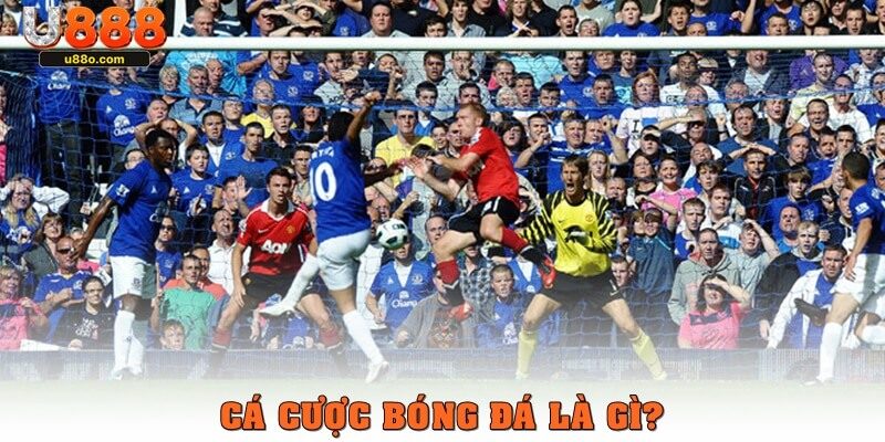 Cá cược bóng đá là gì?