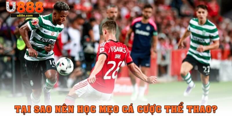 Tại sao nên học tập mẹo cá cược thể thao