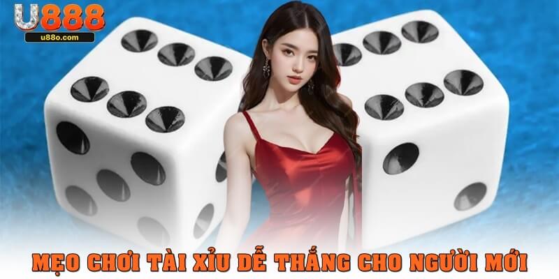 Mẹo chơi tài xỉu dễ thắng cho người chơi mới